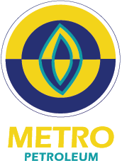 Metro Logo Blue